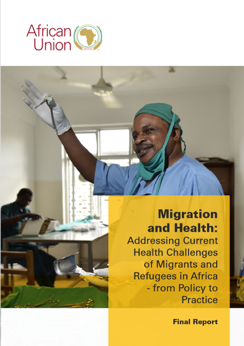 Screenshot 2022 05 09 at 13 05 44 41748 doc Study Report Migration and Health From Policy to Practice ENG pdf