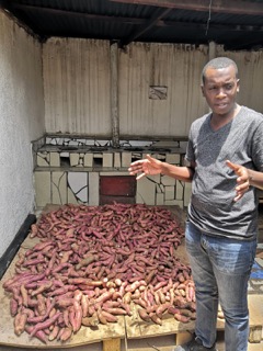CARL Group Süßkartoffel Unternehmer in Kigali