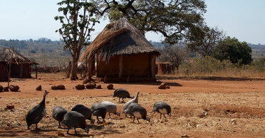 Foto Cover Josefine Greber III