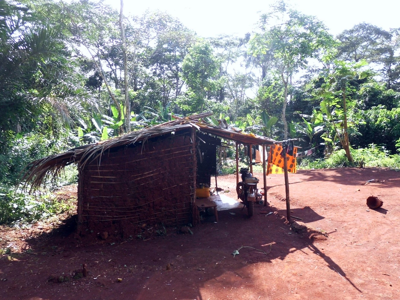 haus
