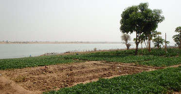 P33001811